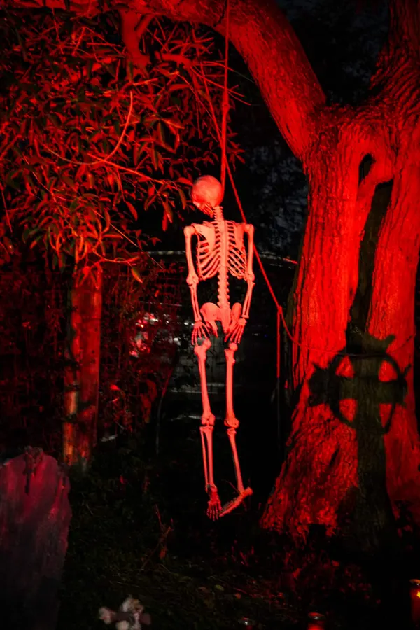Lo scheletro tra gli alberi