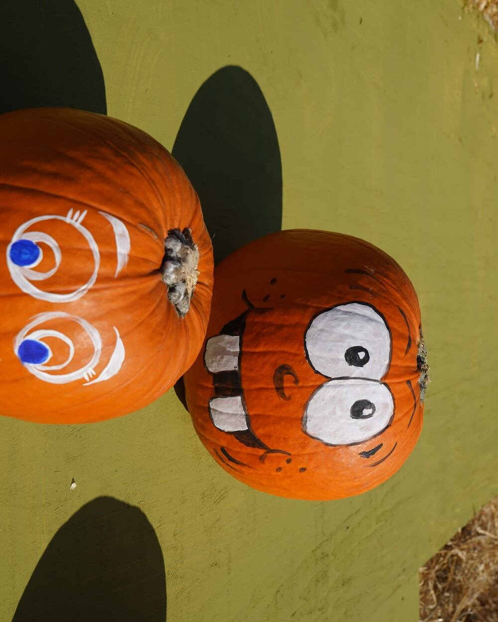 Bambini durante l'esperienza in masseria