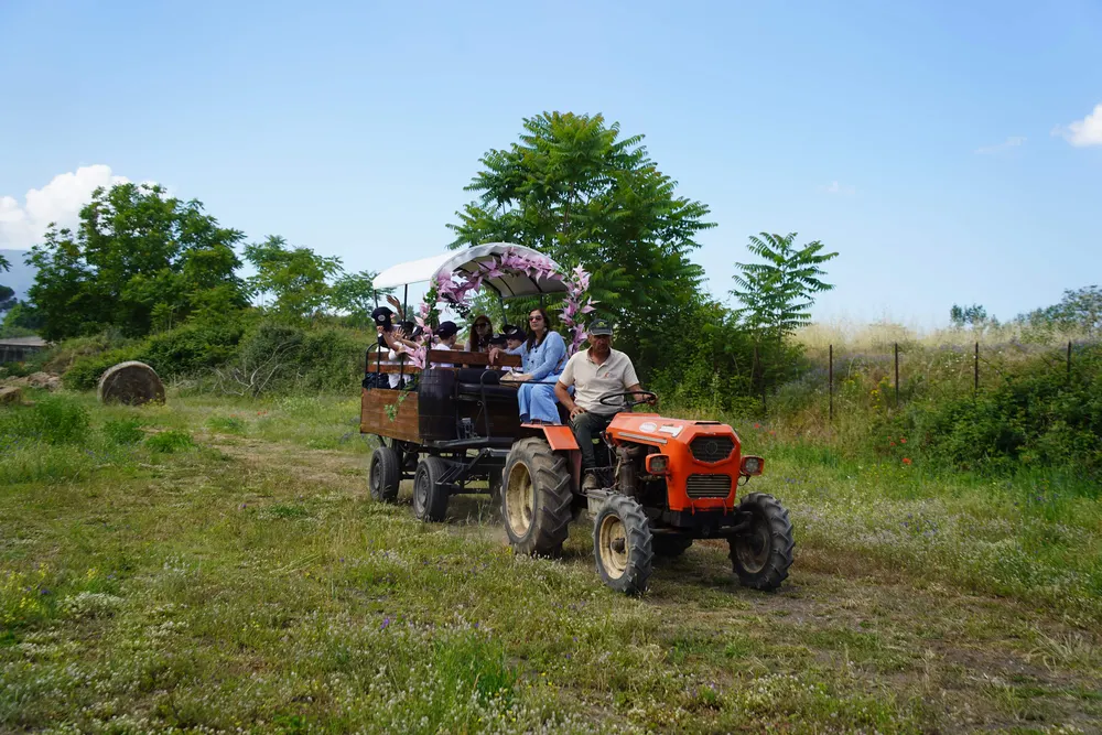 Il carro del trattore nella campagna