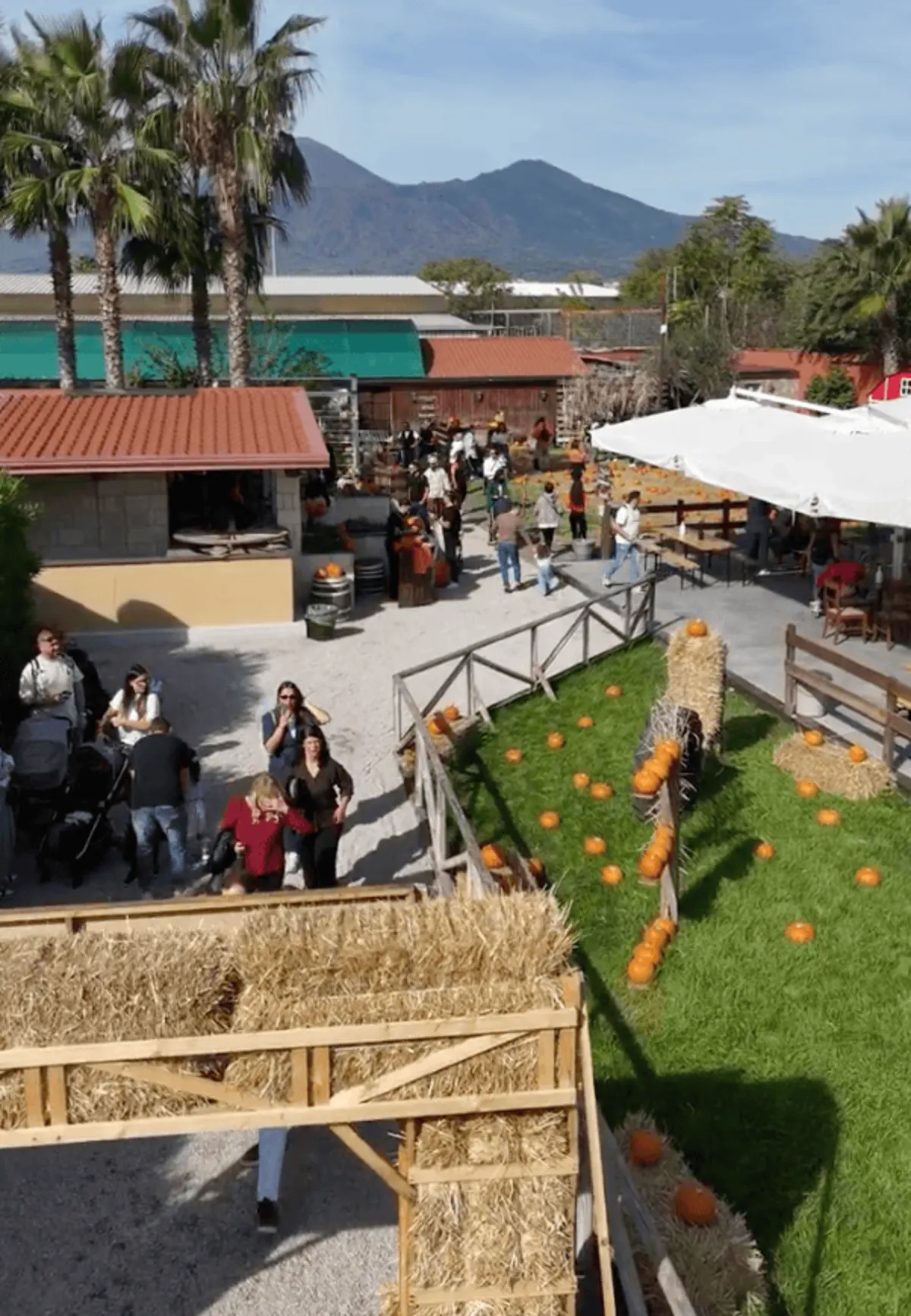 L'area food nel cortile della masseria