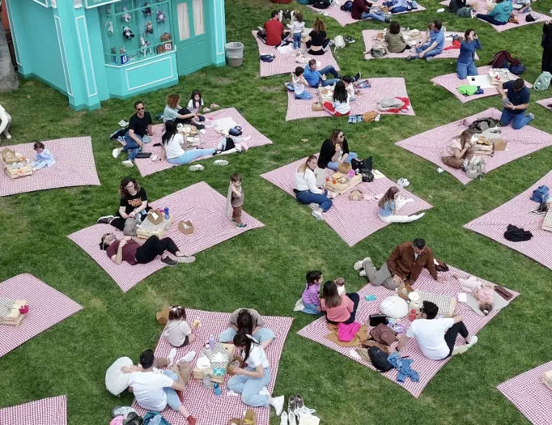 Il pic-nic sull'erba visto dall'alto